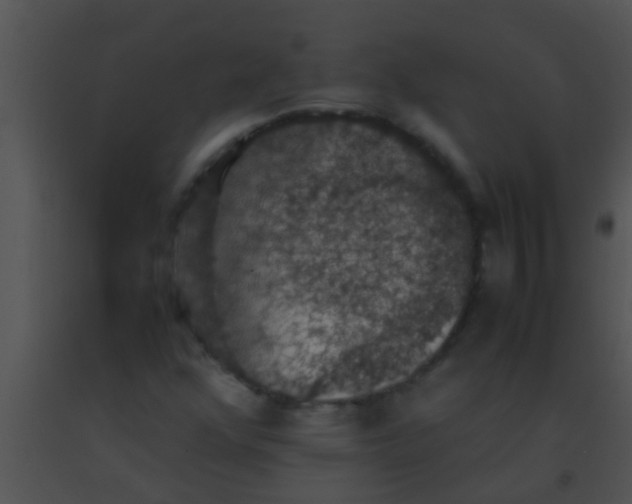 X0000091551352200708311345