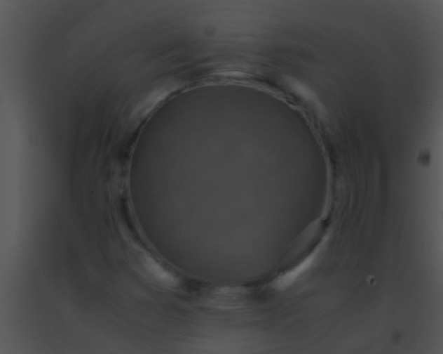 X0000091551353200708311345