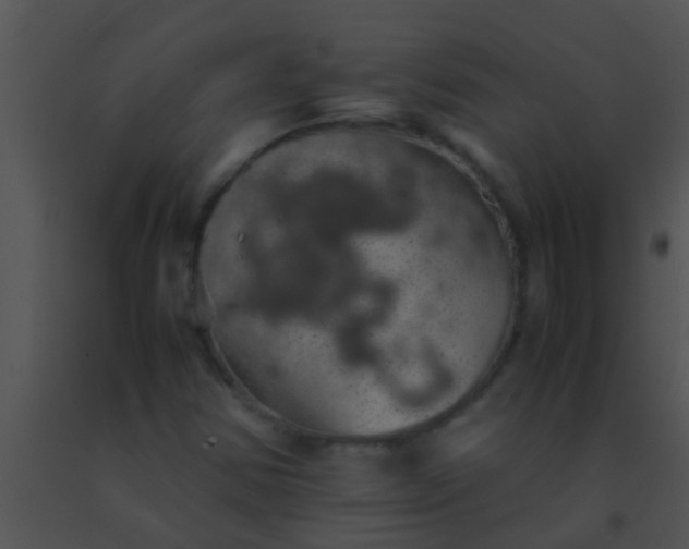 X0000091551354200708311345