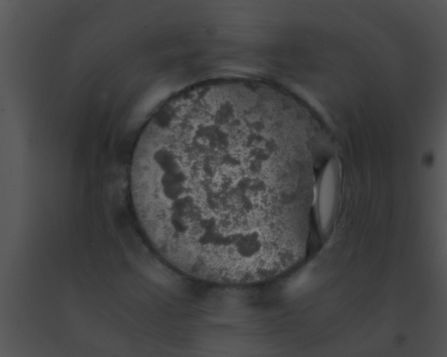 X0000091551355200708311345