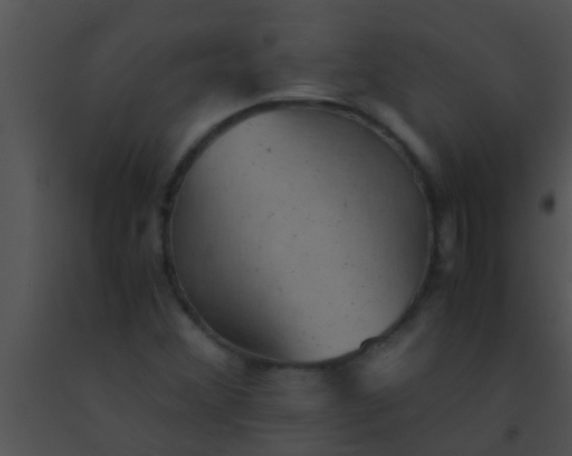 X0000091551356200708311345