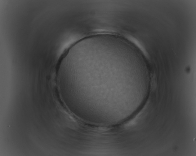 X0000091551357200708311345