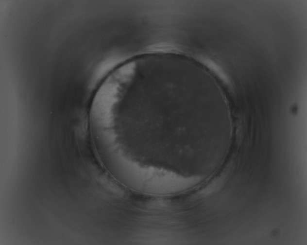 X0000091551358200708311345