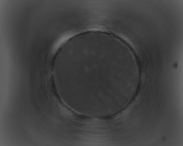 X0000091551359200708311345