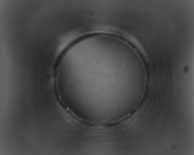 X0000091551360200708311345