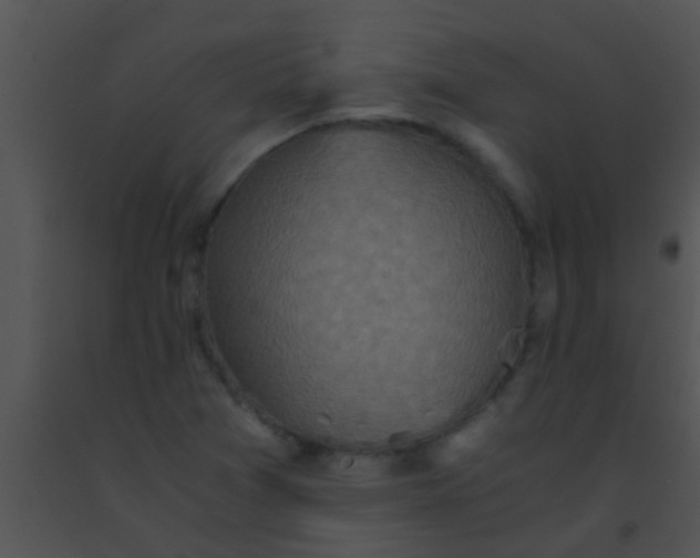X0000091551361200708311345
