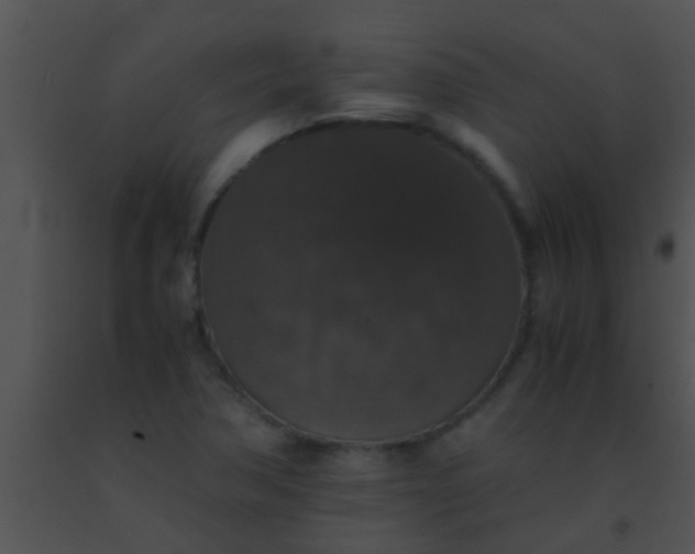 X0000091551362200708311345