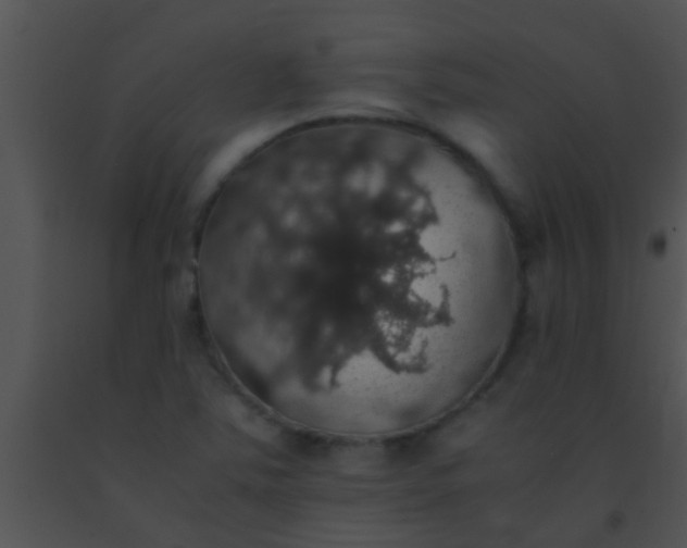 X0000091551363200708311345