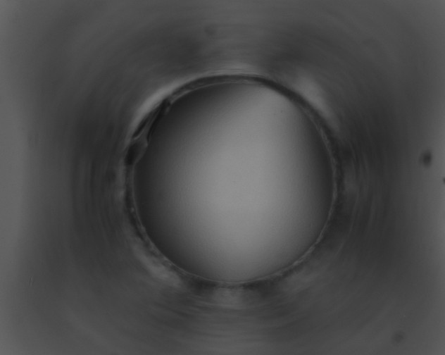 X0000091551364200708311345