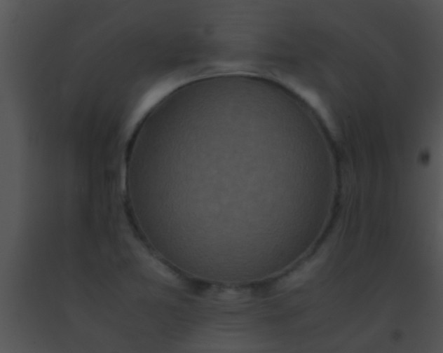 X0000091551365200708311345