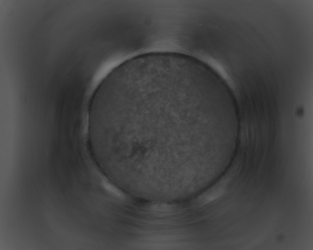 X0000091551366200708311345