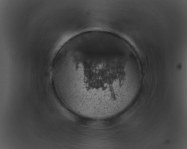 X0000091551367200708311345