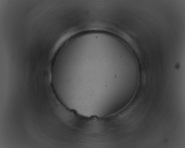 X0000091551368200708311345