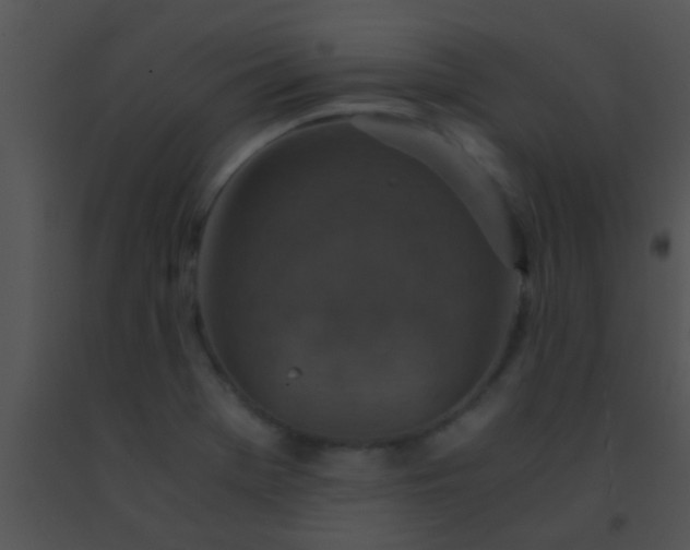 X0000091551369200708311345