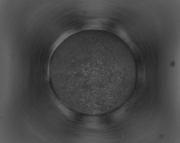 X0000091551370200708311345