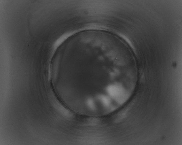 X0000091551371200708311345