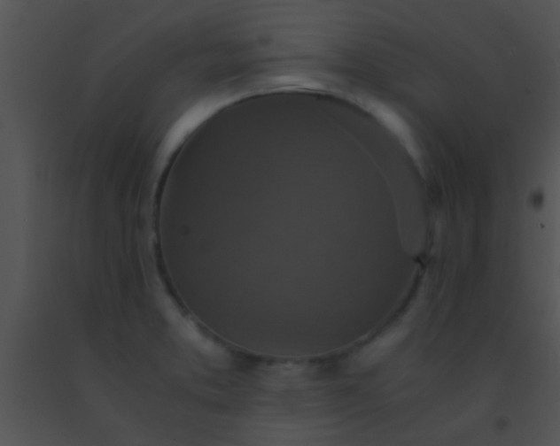 X0000091551373200708311345