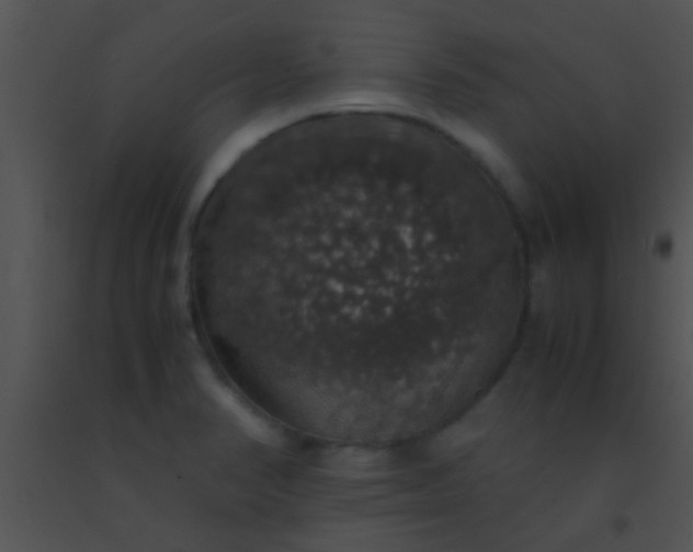 X0000091551374200708311345