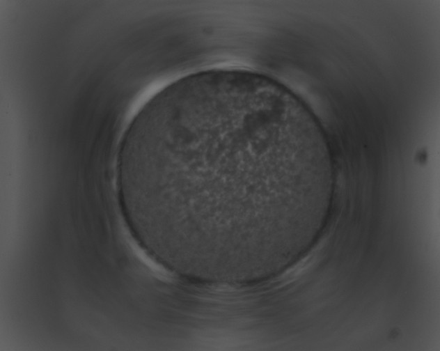 X0000091551375200708311345