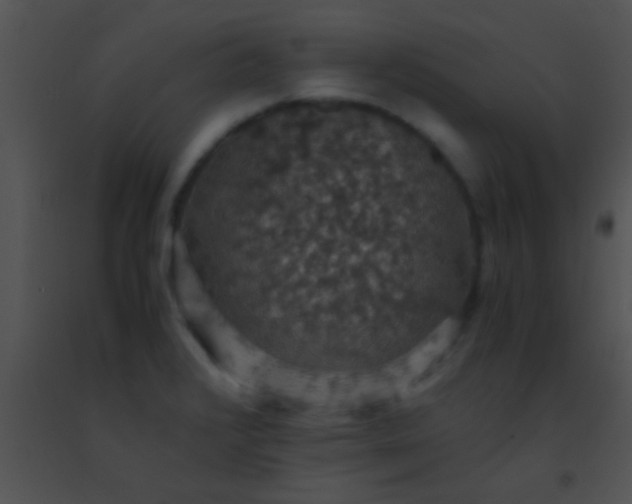 X0000091551376200708311345