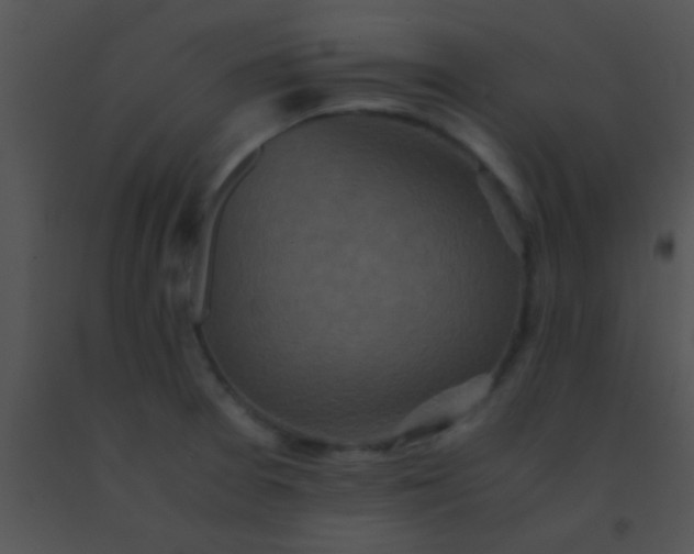 X0000091551377200708311345