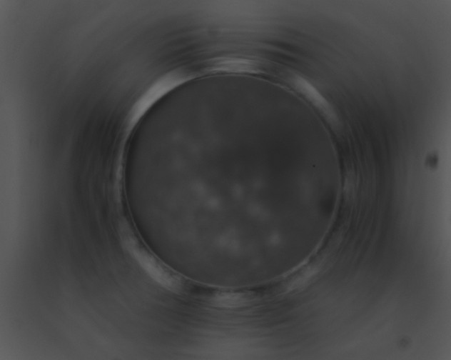 X0000091551378200708311345