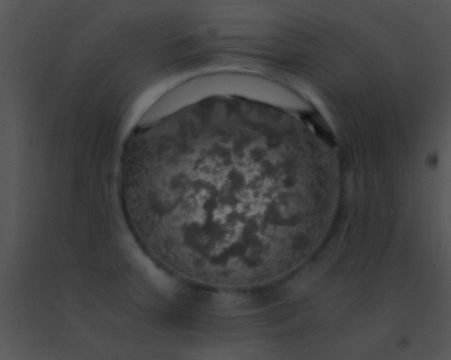 X0000091551379200708311345