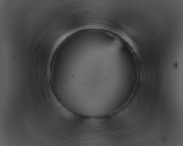 X0000091551380200708311345