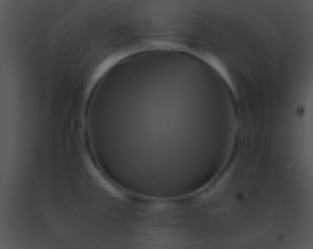 X0000091551381200708311345