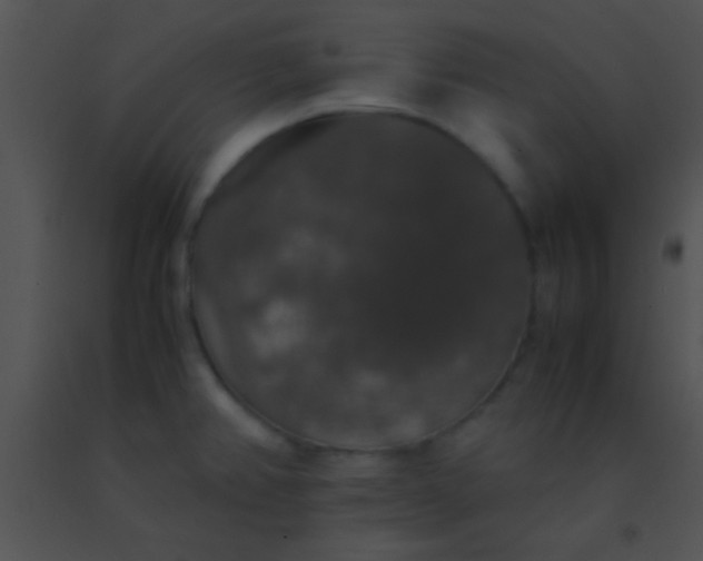 X0000091551382200708311345