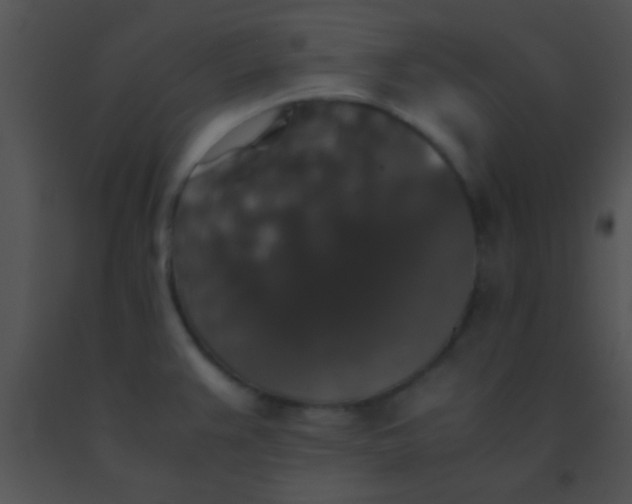X0000091551383200708311345