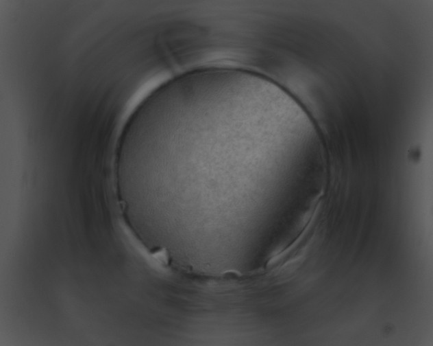X0000091551384200708311345