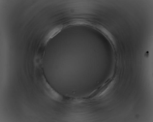 X0000091551385200708311345