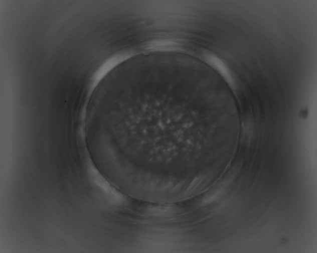 X0000091551386200708311345