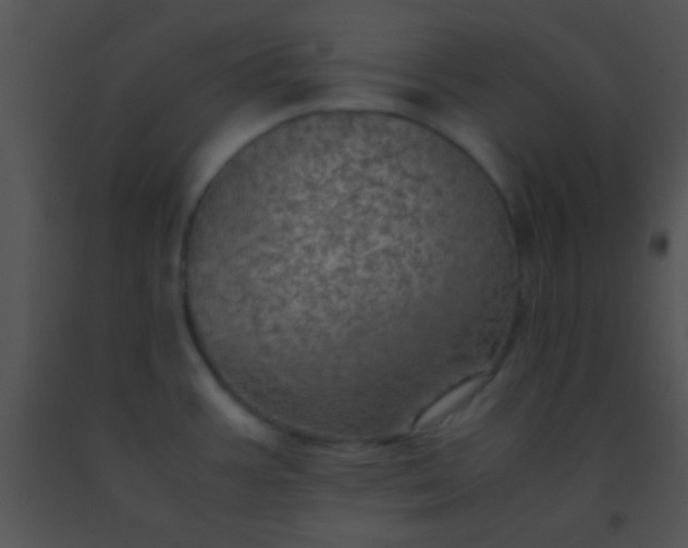 X0000091551387200708311345