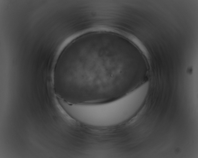 X0000091551388200708311345