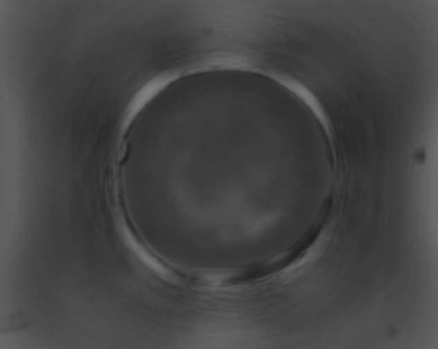 X0000091551389200708311345