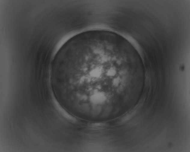 X0000091551390200708311345