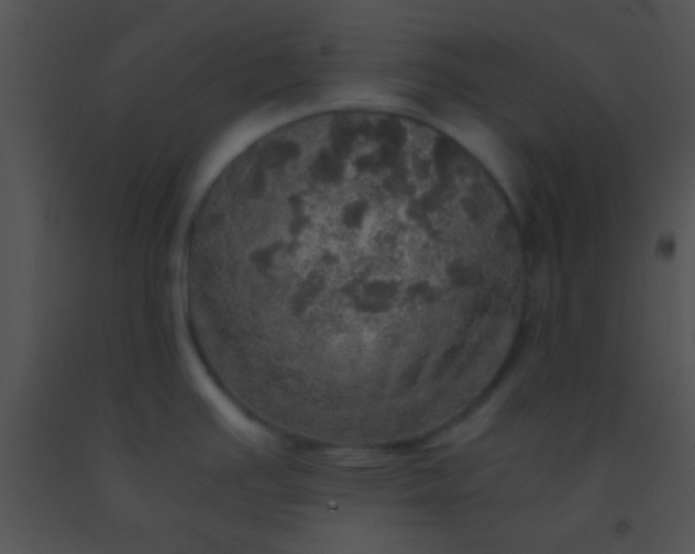 X0000091551391200708311344