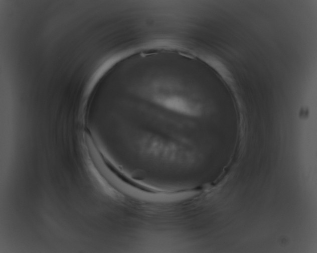 X0000091551392200708311344