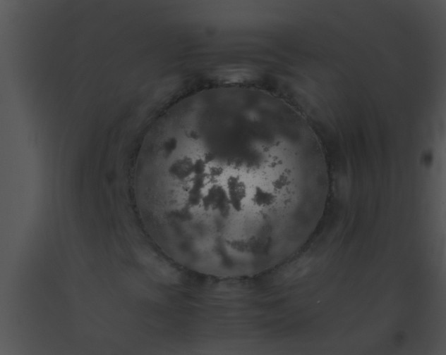 X0000091551393200708311344