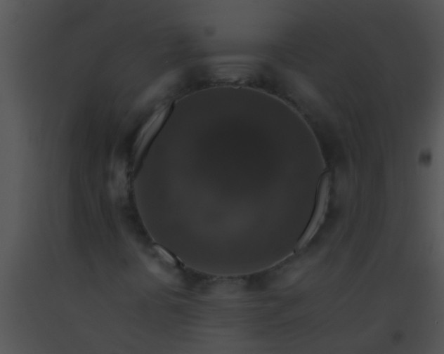 X0000091551394200708311344