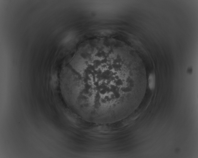 X0000091551395200708311344