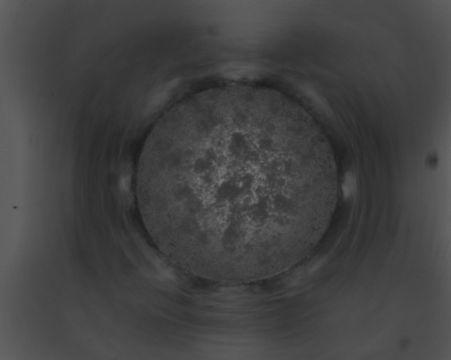 X0000091551396200708311344