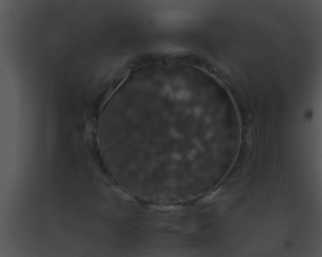 X0000091551397200708311344