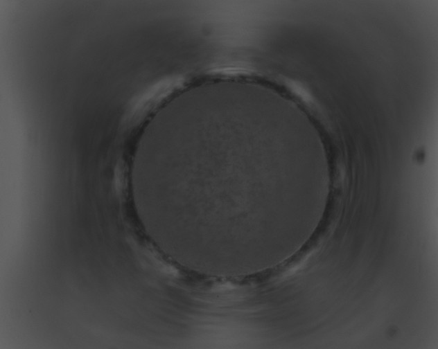 X0000091551398200708311344
