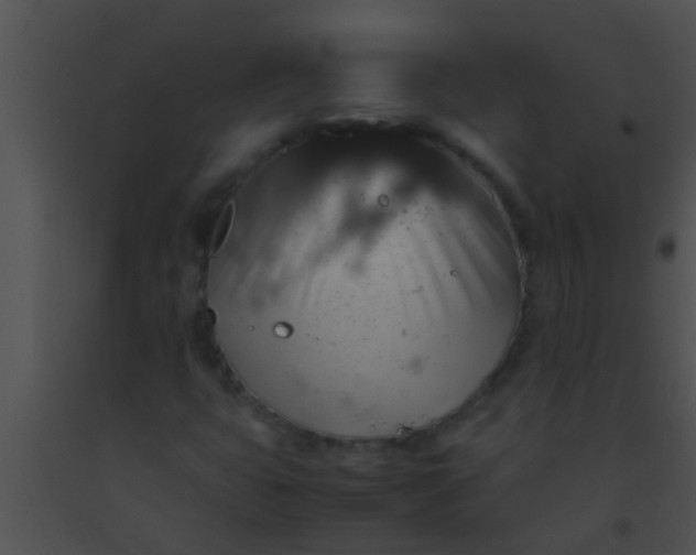 X0000091551399200708311344