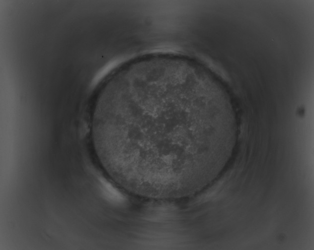 X0000091551400200708311344