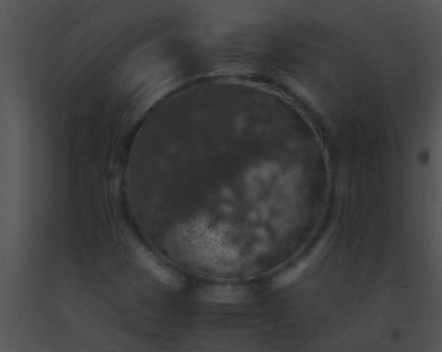 X0000091551401200708311344