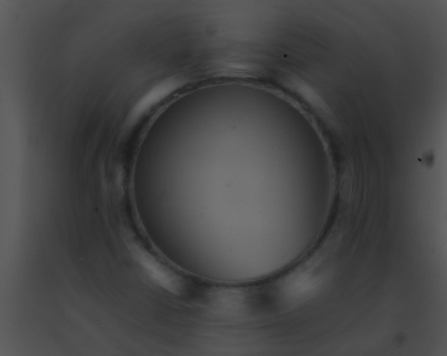 X0000091551402200708311344